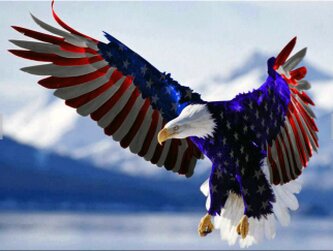 American Freedom Eagle American Freedom Eagle
